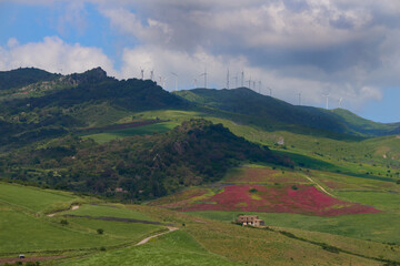Fototapeta premium green pastures and wind turbines on the Nebrodi mountains of central Sicily
