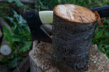 Sawn cherry tree trunk and axe