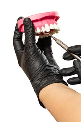Dentist's hands with layout of the human jaw and midical tool.