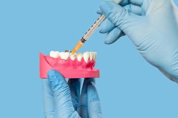 Dentist with layout of the human jaw and syringe.