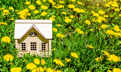 The symbol of the house stands among the yellow dandelions
