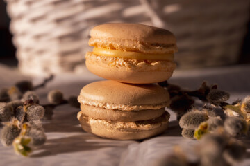 Two creamy beige macarons on a flat white and gray ground near some spring plants