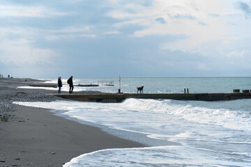 People and dog on the beach