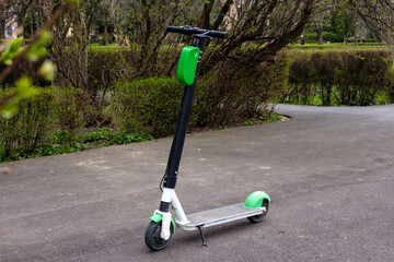 An eco green and black electric green energy scooter in the park standing by a blooming magnolia