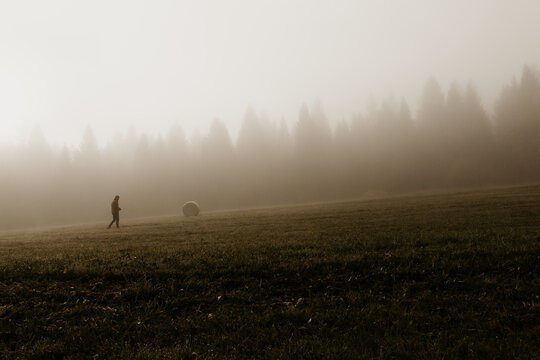 A foggy landscape in a field. A forest in the background. A man is walking up the hill in the distance. Morning haze and fog on the pasture. Grainy image because of the fog. Dark moody scene. 