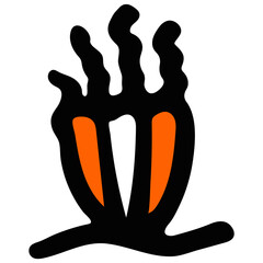 Colored Anemone illustration on white background.