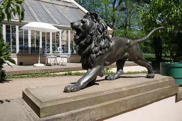 Naklejka premium Löwe im Fürst-Pückler-Park Branitz