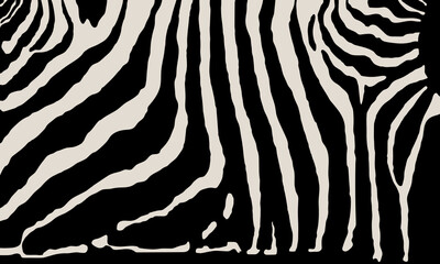 Fototapeta na wymiar Vector zebra print pattern animal seamless. Zebra skin abstract for printing, cutting, and crafts Ideal for mugs, stickers, web, cover, home decorate and more.