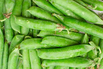 Full frame Fresh Green peas and pea pods