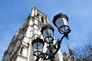 Fototapeta na wymiar Lamp Posts of Notre Dame Cathedral in Paris France