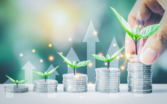 Man hand stacked coins with money saving concept and profit graph business finance in a piggy bank with money boxes for future funds of tourism, home, and retirement on a blurred background. - Powered by Adobe
