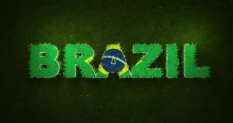 Brazil Flag is Appearing Over Growing Grasses - Powered by Adobe