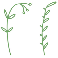 Fototapeta premium little greem leaves and flowers