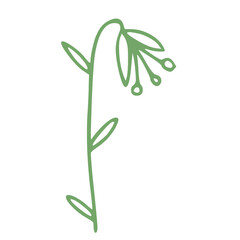 little greem leaves and flowers