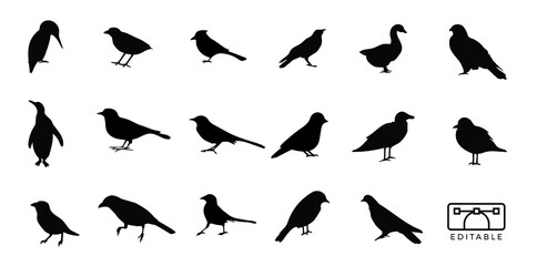 Birds Silhouette Set Vector 