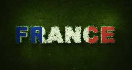 French flag is appearing while green grasses are growing in a sports field. - Powered by Adobe