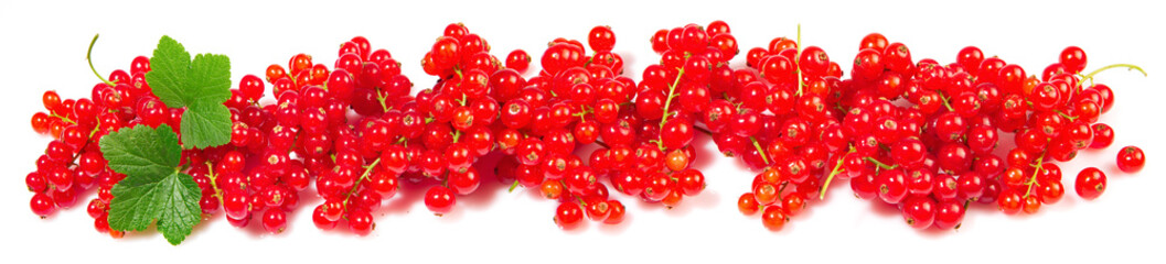 Red Currants - Berries Panorama with Leaves isolated on white Background
