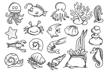 doodle design sea animal collection underwater creatures