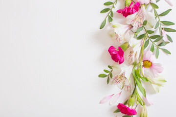 beautiful pink and white flowers on white background