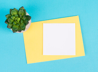 Empty paper with a pen and a cactus textured background, brainstorming for new ideas, writing a...