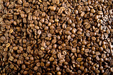 Coffee Beans with Dramatic Lighting