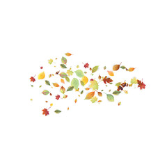 Leaves Falling Autumn Foliage Chaotic Leaf Flying