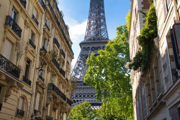 view of the eiffel tower