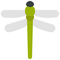 Dragon Fly Icon