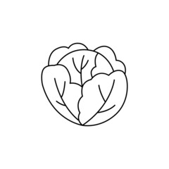 Cabbage icon in line style icon, isolated on white background
