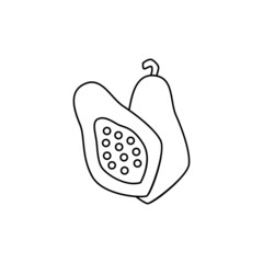 papaya icon in line style icon, isolated on white background