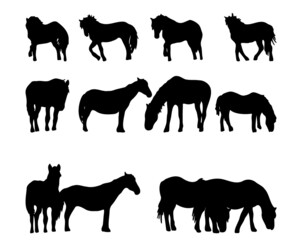 Set of horse silhouette in line art style.Horse vector by hand drawing.Horse tattoo on white background.Illustration of a herd of horses running in the meadow