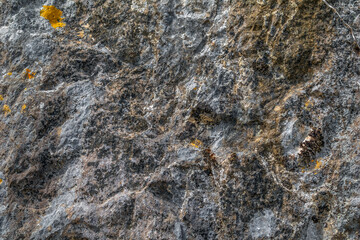Vintage stone texture, closeup. Gray shabby natural surface with yellow moss patches