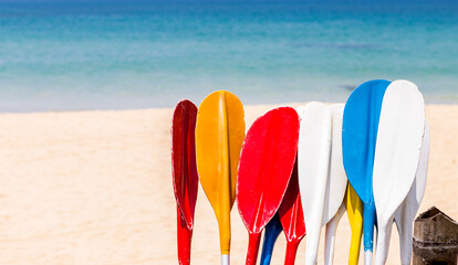 Colorful oars with beach background, water sport, holiday activity at the beach, summer outdoor day light