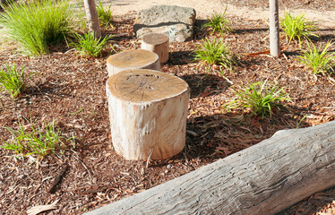 landscaping with cut tree stump stepping stones and grasses