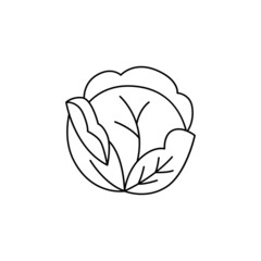 Cabbage icon in line style icon, isolated on white background