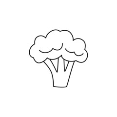 Cauliflower vegetable in line style icon, isolated on white background