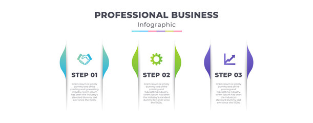 Professional Business Infographic Template