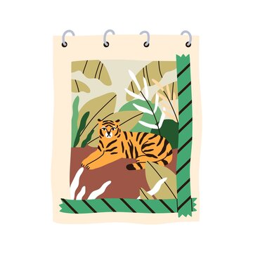 Sketchbook with picture of tiger animal in nature. Spiral notebook with drawing on paper. Painting with sticky tapes in notepad, sketch book. Flat vector illustration isolated on white background