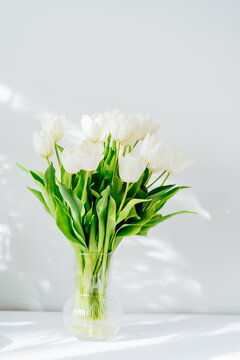 Spring bouquet of white tulip flowers in vase stand on white table near light grey wall with highlights and shadows. Gift for holiday, birthday, 8 March, Mother's Day. Vertical card. Selective focus