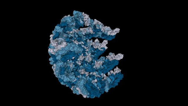 3D zika virus assembly animation. Based on scientific structural information. 