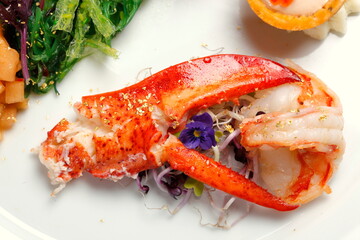Hummerschere und Hummerschwanz mit Blattgold und Algensalat