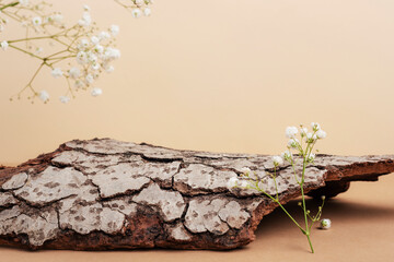 Tree bark and gypsophila flowers on neutral beige background. Mockup for cosmetics or parfeme