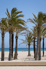 Palm tree beach in the mediterranean. Javea, Alicante, Spain.