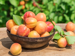 Ripe apricots in the wooden bowl on the table.