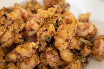 Fried calamari spanish tapa. Puntilla