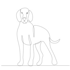 Obraz premium dog drawing in one continuous line, isolated, vector