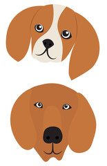 dog portrait in flat design isolated, vector