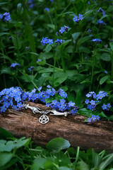 Beautiful blue forget me not flowers and witch wiccan amulet with pentacle on dark green natural...