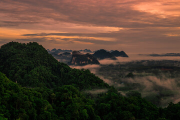 Natural blurred background of fog scattered among trees in the morning, with soft sunlight from the sun, seasonal beauty.