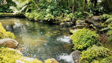 Naklejka na ściany i meble Beautiful streams, trees and rocks in Thailand. Photo. There are koi fish in the stream.